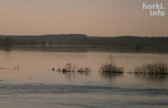 Як разлілася Проня. Фотафакт