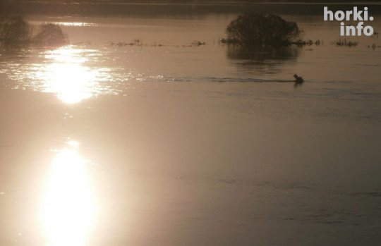 Як разлілася Проня. Фотафакт