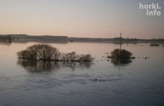 Як разлілася Проня. Фотафакт