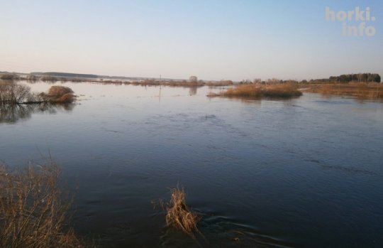 Як разлілася Проня. Фотафакт