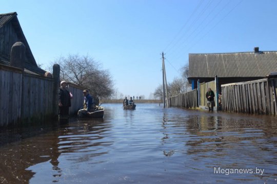 Репортаж из затопленной деревни Мордвин (фото, видео)