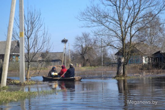 Репортаж из затопленной деревни Мордвин (фото, видео)