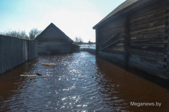 Репортаж из затопленной деревни Мордвин (фото, видео)