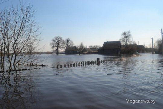 Репортаж из затопленной деревни Мордвин (фото, видео)