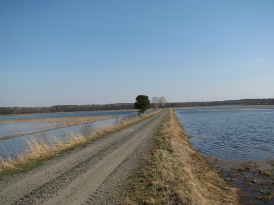 В плену у паводка