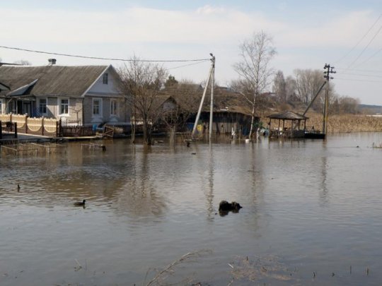 Паводка ў Глыбокім - фотафакт