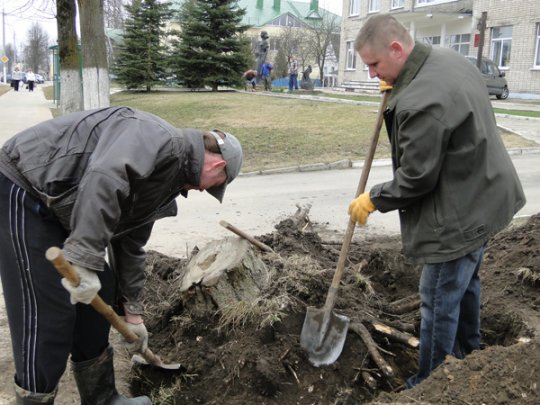 Лиозненцы приняли участие в общереспубликанском субботнике