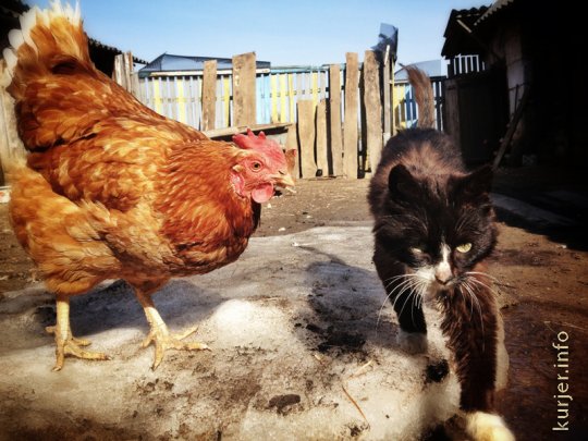 Фотоокна. 23 апреля 2013