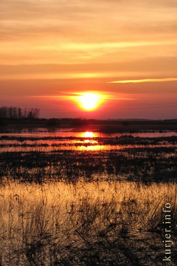 Фотоокна. 23 апреля 2013