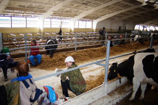 В Хойниках готовятся к приезду Лукашенко (фото)