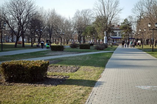 В Могилёве планируют посадить 1,5 миллиона цветов (фото)