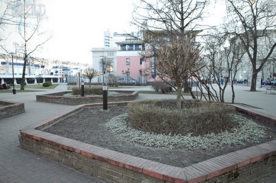 В Могилёве планируют посадить 1,5 миллиона цветов (фото)