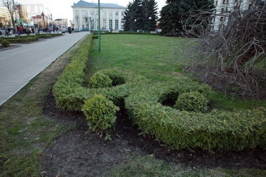 В Могилёве планируют посадить 1,5 миллиона цветов (фото)