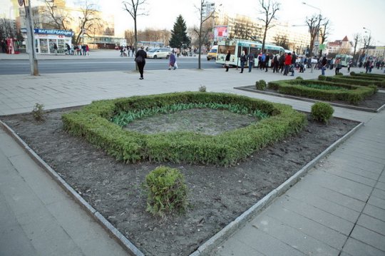 В Могилёве планируют посадить 1,5 миллиона цветов (фото)