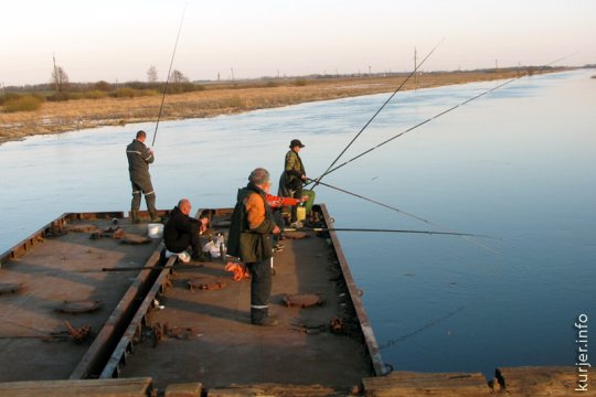 Инна Шилович: внезапная рыбалка. Репортаж
