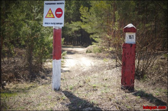 Дома сумна. Падарожжа дзевятае. Губарэвічы