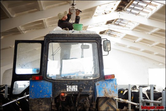 Дома сумна. Падарожжа дзевятае. Губарэвічы