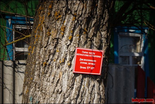 Дома сумна. Падарожжа дзевятае. Губарэвічы