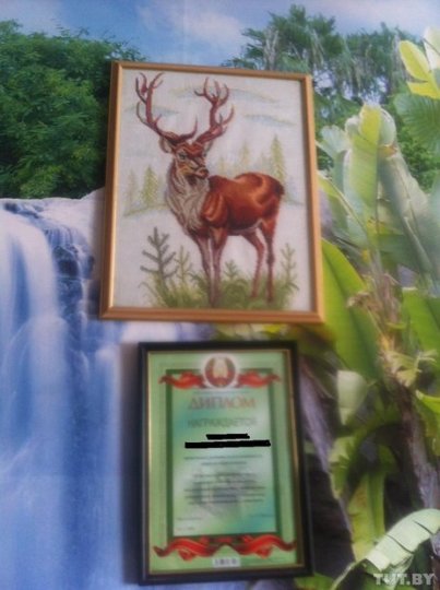 Об изнасиловании в приемной семье cообщили уже 4 девочки. Жена подозреваемого: "Я готова ему простить. Он золотой человек!"