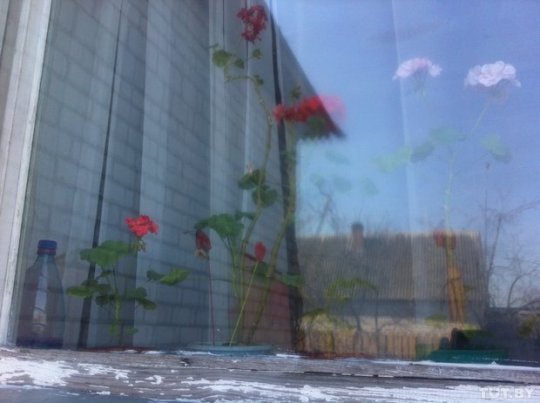 Об изнасиловании в приемной семье cообщили уже 4 девочки. Жена подозреваемого: "Я готова ему простить. Он золотой человек!"