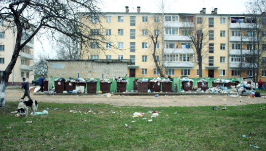 Барановичские дворы утопают в мусоре