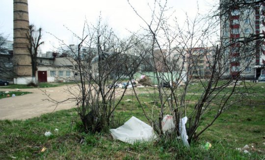 Барановичские дворы утопают в мусоре