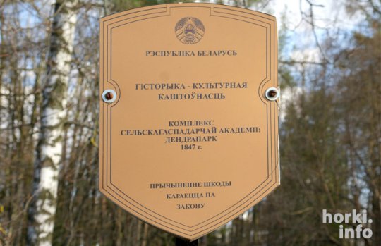 Заместа ўскладання кветак – пацалавалі замок