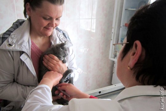 Собачка за $3000