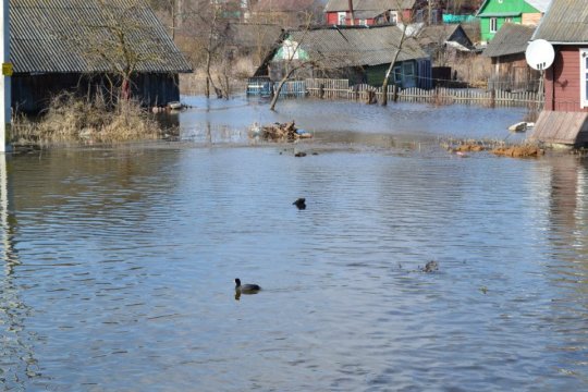 Паводка ў Глыбокім. Фотарэпартаж Змітра Лупача