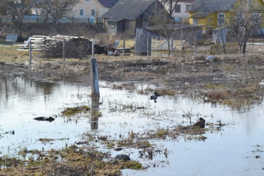 Паводка ў Глыбокім. Фотарэпартаж Змітра Лупача
