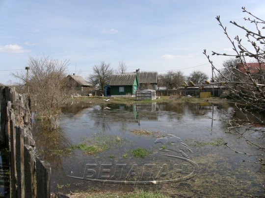Петриковский район: от крыльца вплавь, или Венеция без гондол (фото)