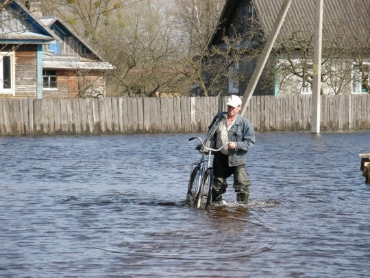 Петриковский район: от крыльца вплавь, или Венеция без гондол (фото)