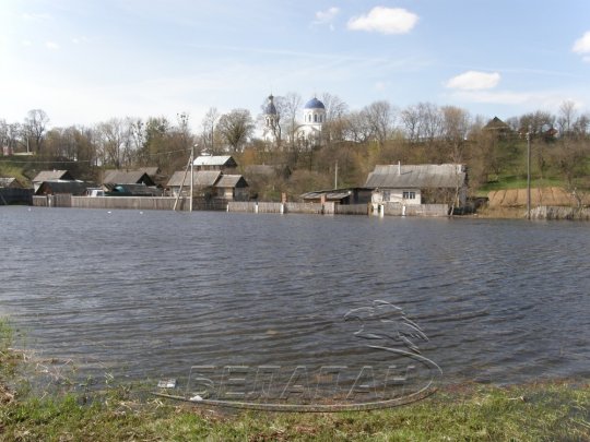 Петриковский район: от крыльца вплавь, или Венеция без гондол (фото)