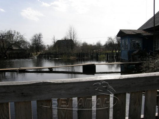 Петриковский район: от крыльца вплавь, или Венеция без гондол (фото)