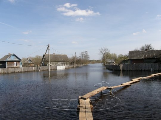 Петриковский район: от крыльца вплавь, или Венеция без гондол (фото)
