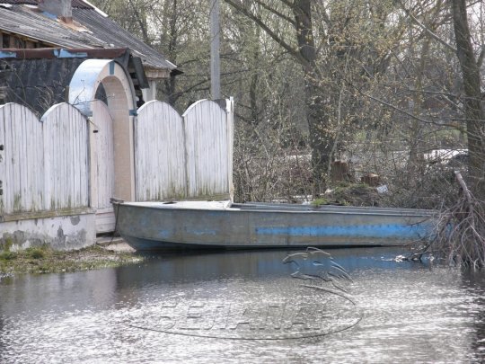 Петриковский район: от крыльца вплавь, или Венеция без гондол (фото)