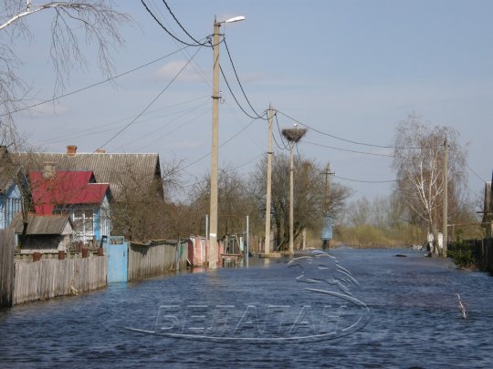 Петриковский район: от крыльца вплавь, или Венеция без гондол (фото)
