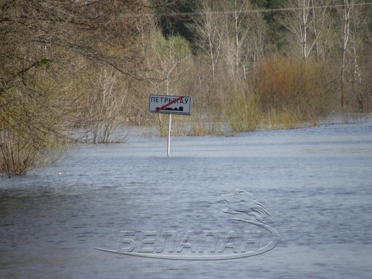 Петриковский район: от крыльца вплавь, или Венеция без гондол (фото)