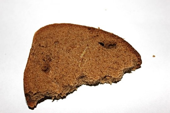 Фотофакт: покупатель утверждает, что приобрел хлеб с червями