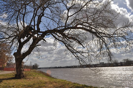 Паводок в Полоцке (фото+видео)