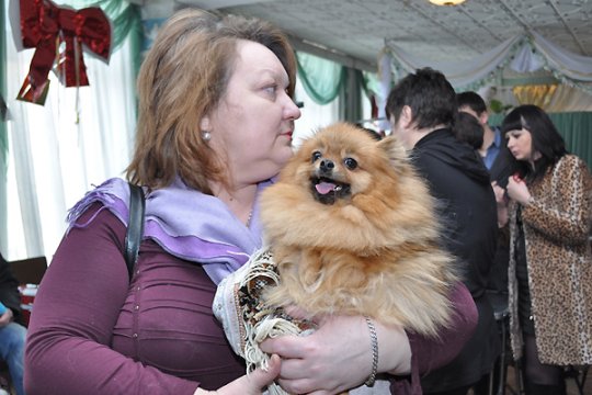 В Полоцке выставлялись друзья человека: фотоотчет