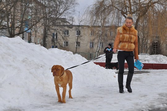 В Полоцке выставлялись друзья человека: фотоотчет
