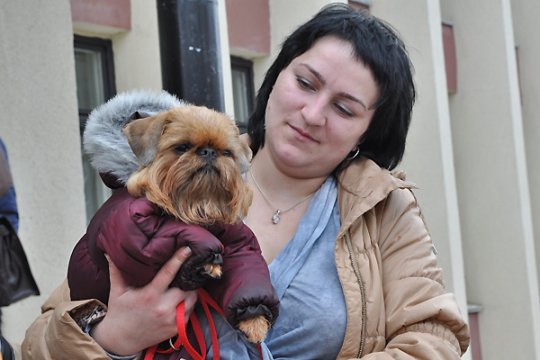 В Полоцке выставлялись друзья человека: фотоотчет