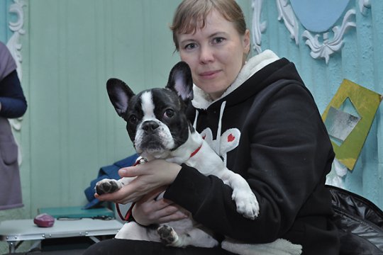 В Полоцке выставлялись друзья человека: фотоотчет