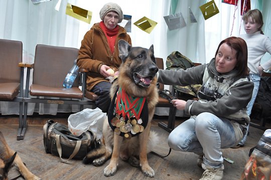 В Полоцке выставлялись друзья человека: фотоотчет