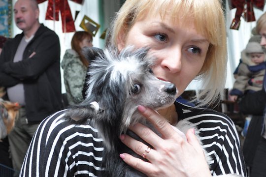 В Полоцке выставлялись друзья человека: фотоотчет