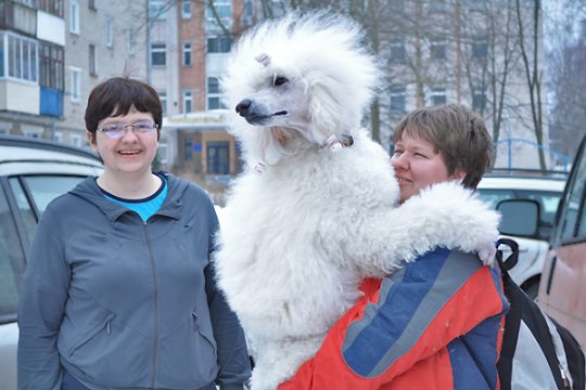 В Полоцке выставлялись друзья человека: фотоотчет