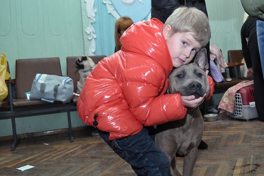 В Полоцке выставлялись друзья человека: фотоотчет