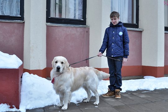 В Полоцке выставлялись друзья человека: фотоотчет