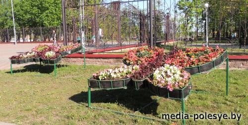 Столин будет утопать в цветах – обещают коммунальники